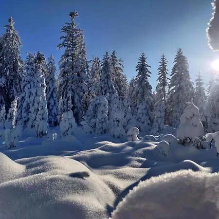 In Darney With Meadow Views