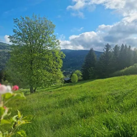 In Darney With Meadow Views