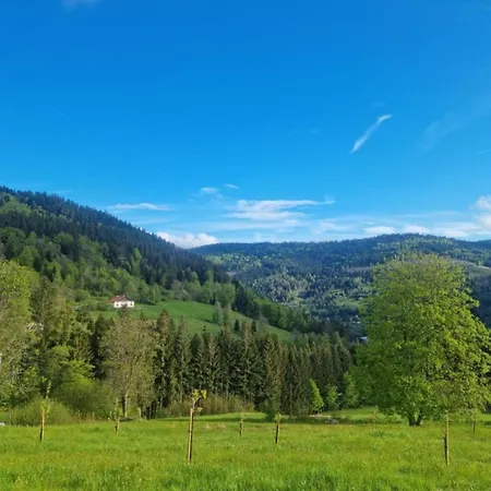 Appartement In Darney With Meadow Views *