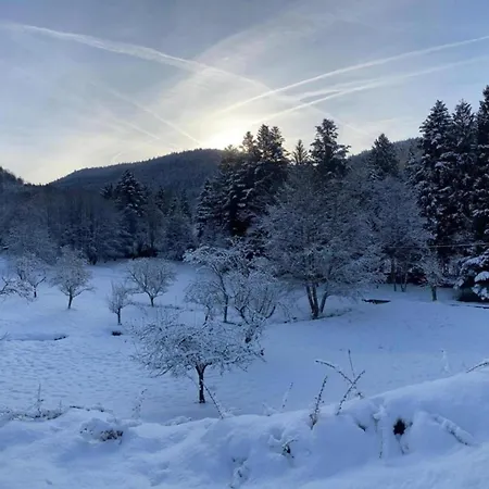 In Darney With Meadow Views