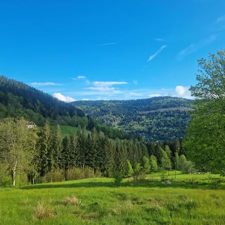 Διαμέρισμα In Darney With Meadow Views *