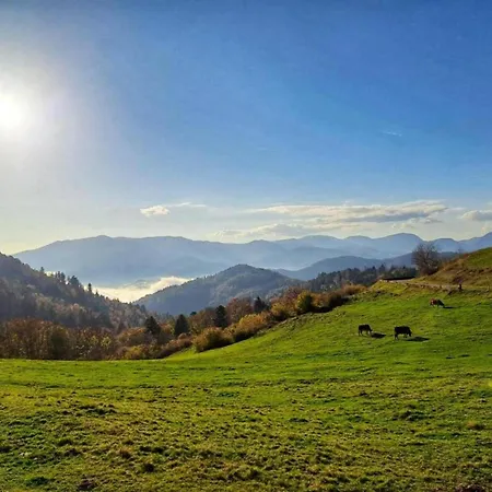 Apartamento In Darney With Meadow Views Dombasle-devant-Darney