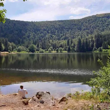 In Darney With Meadow Views Dombasle-devant-Darney