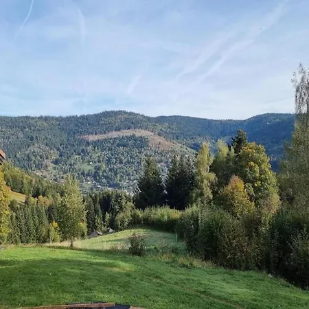 In Darney With Meadow Views * Dombasle-devant-Darney