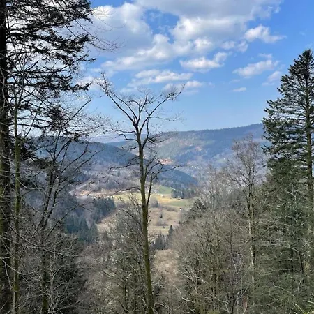 In Darney With Meadow Views *