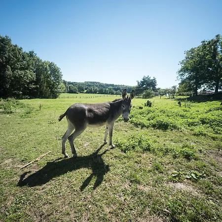 Διαμέρισμα In Darney With Meadow Views *