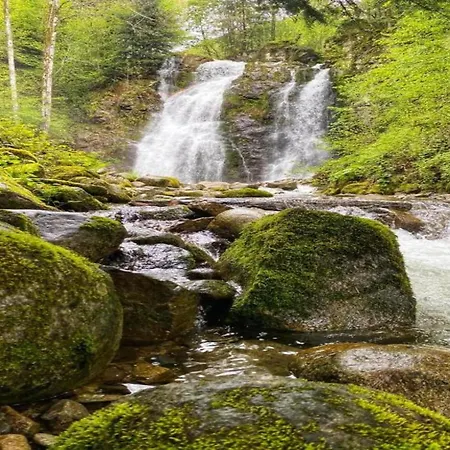 Apartamento In Darney With Meadow Views