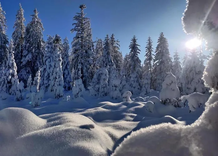 In Darney With Meadow Views