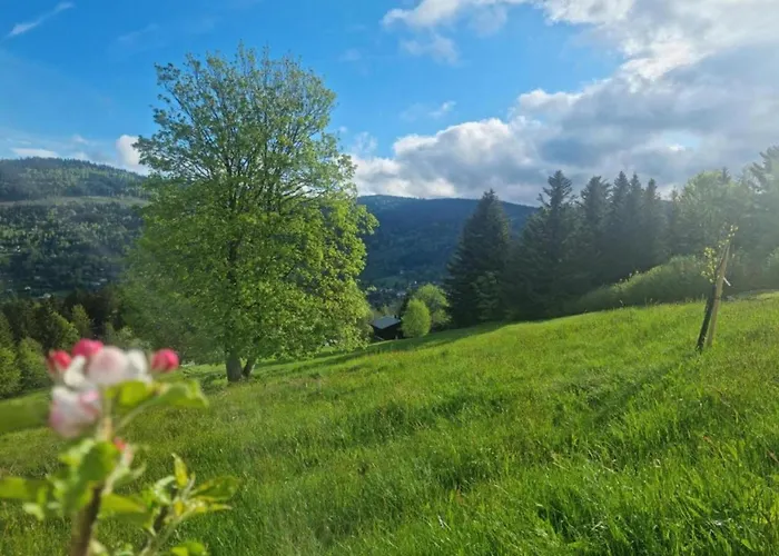 In Darney With Meadow Views