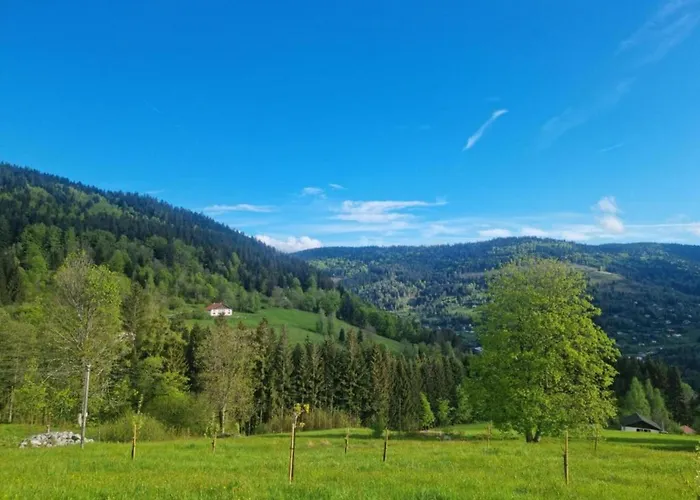 Appartement In Darney With Meadow Views *