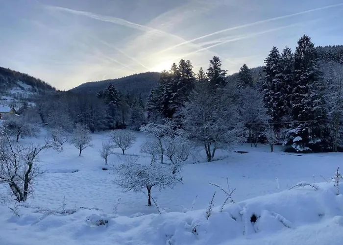 In Darney With Meadow Views