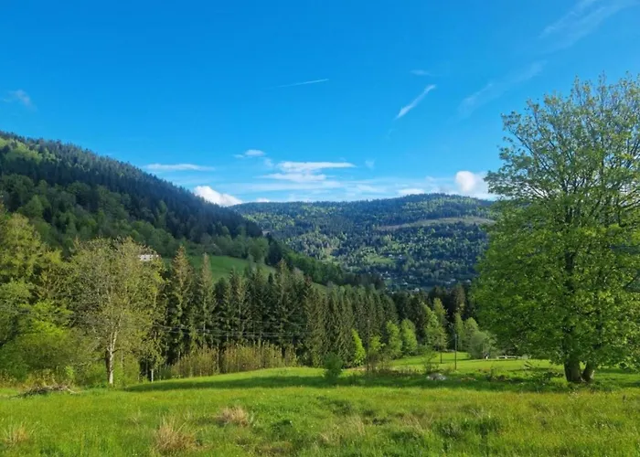 Appartement In Darney With Meadow Views *