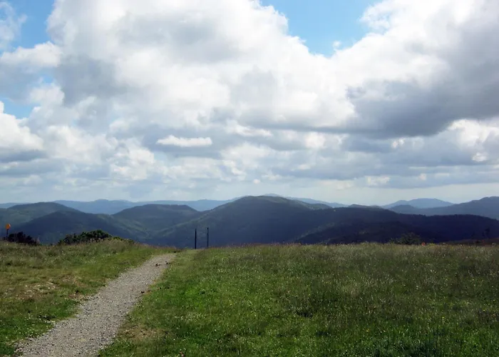 In Darney With Meadow Views Lejlighed Dombasle-devant-Darney