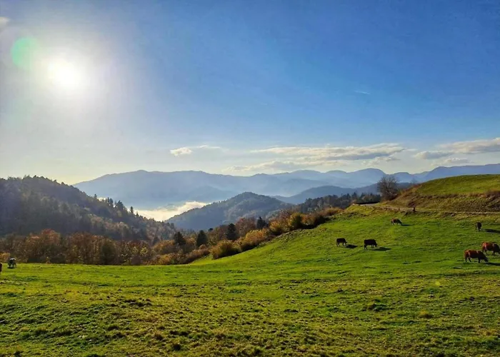 Lejlighed In Darney With Meadow Views Dombasle-devant-Darney