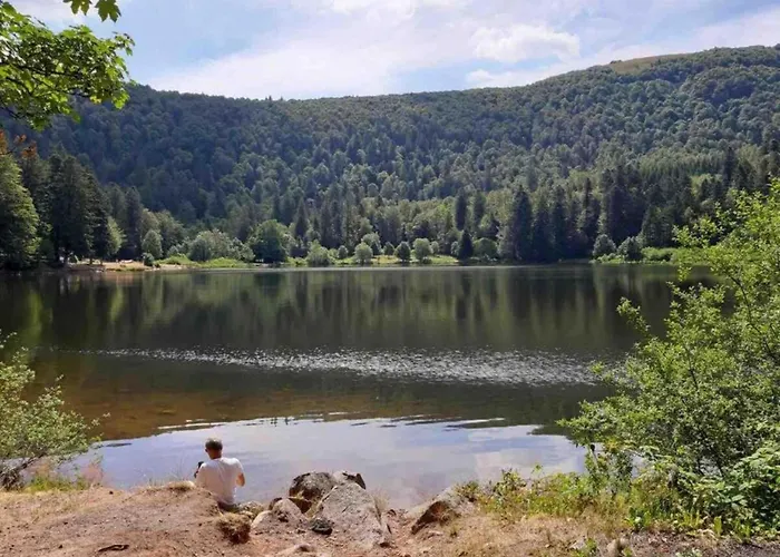 In Darney With Meadow Views Dombasle-devant-Darney