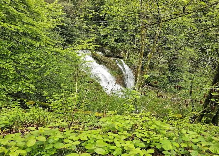 In Darney With Meadow Views Appartement *