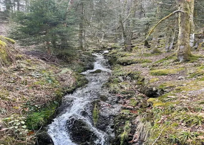 Lejlighed In Darney With Meadow Views *