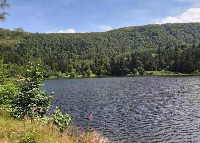 In Darney With Meadow Views Appartement Dombasle-devant-Darney