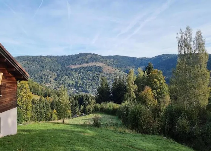In Darney With Meadow Views * Dombasle-devant-Darney