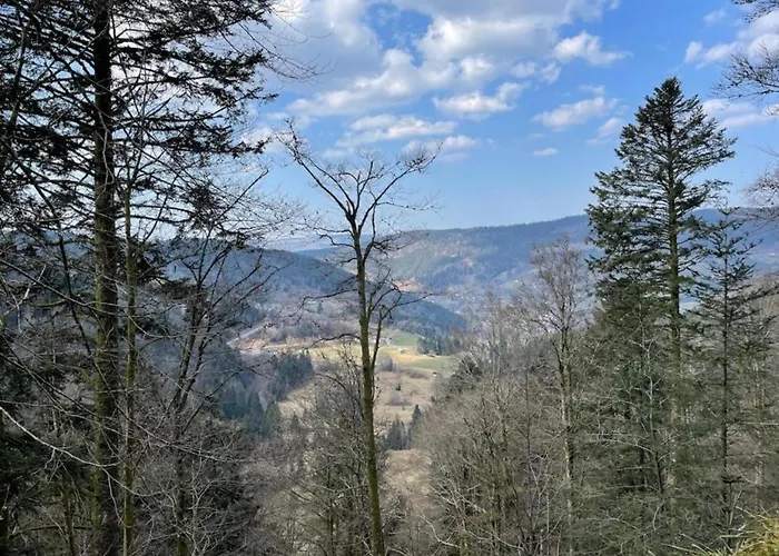 In Darney With Meadow Views *