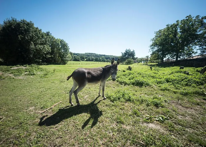 Lejlighed In Darney With Meadow Views *