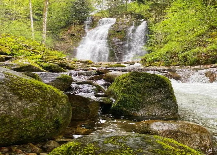 Appartement In Darney With Meadow Views